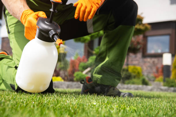 Professional Pest Control in Rankin, PA